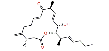 Amphidinolide S